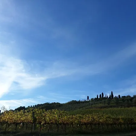 Gospodarstwo agroturystyczne Tenuta Rocchi Torrita di Siena