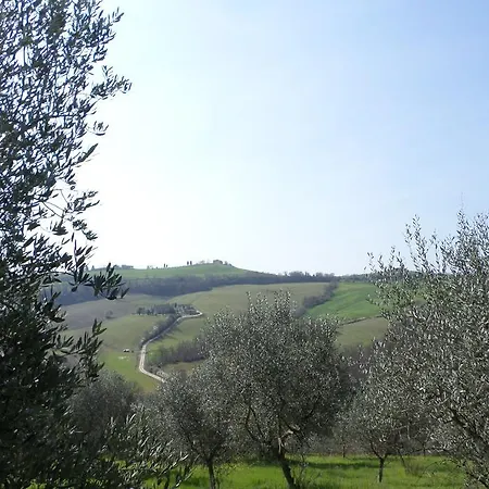 Tenuta Rocchi Gospodarstwo agroturystyczne Torrita di Siena