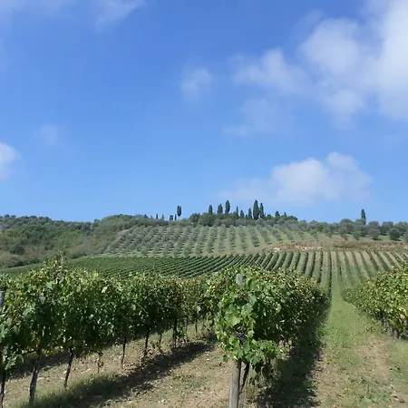 Tenuta Rocchi