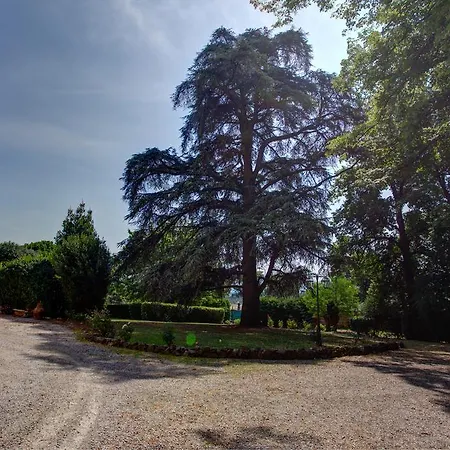 Gospodarstwo agroturystyczne Tenuta Rocchi *