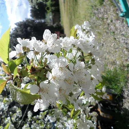 Gospodarstwo agroturystyczne Tenuta Rocchi Torrita di Siena