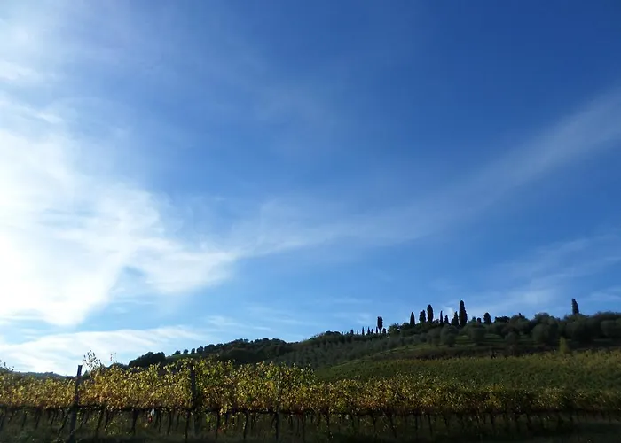 Vakantieboerderij Tenuta Rocchi Torrita di Siena