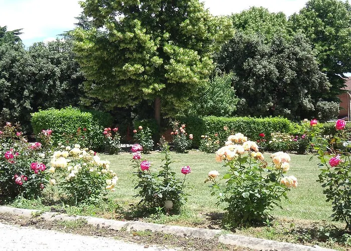 Tenuta Rocchi * Torrita di Siena