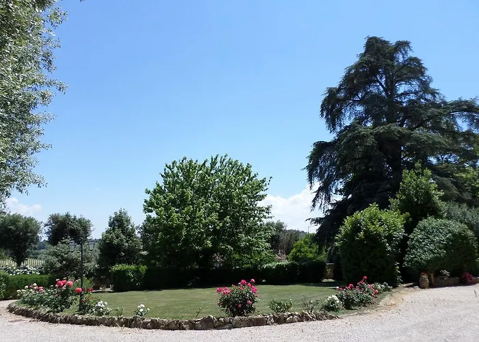 Tenuta Rocchi * Torrita di Siena