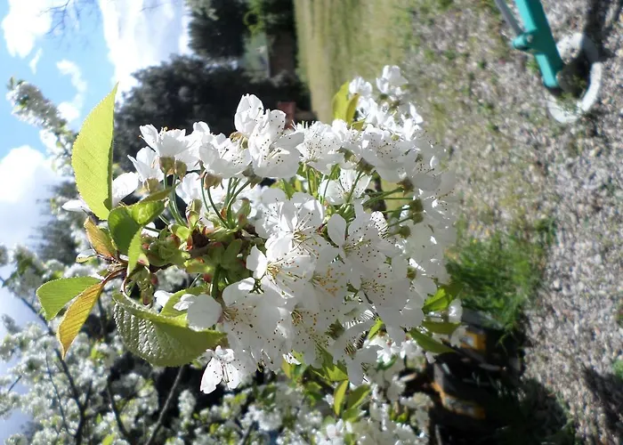 Vakantieboerderij Tenuta Rocchi Torrita di Siena